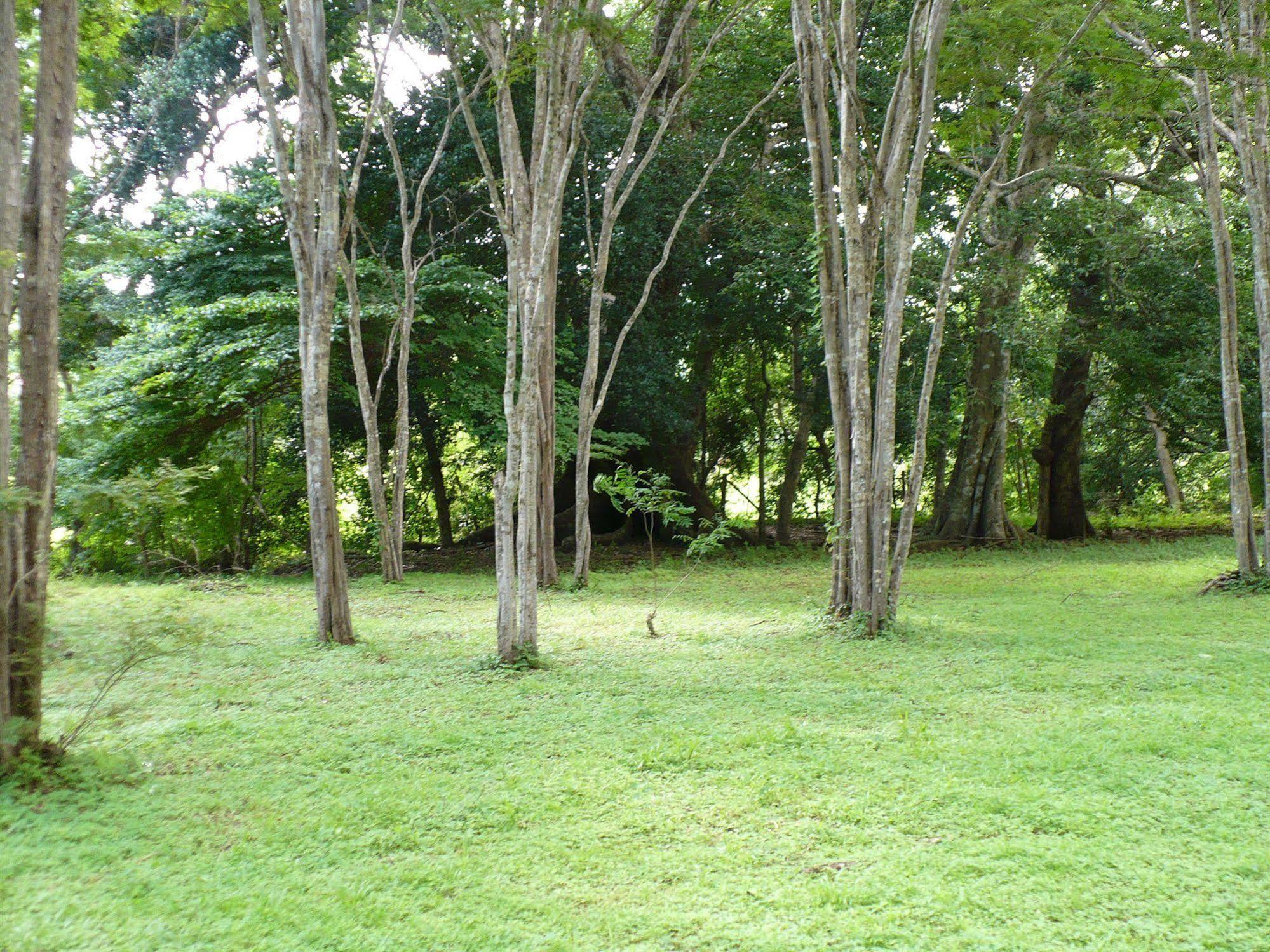 Finca Buena Fuente Residence Hotel Nicoya Exterior photo